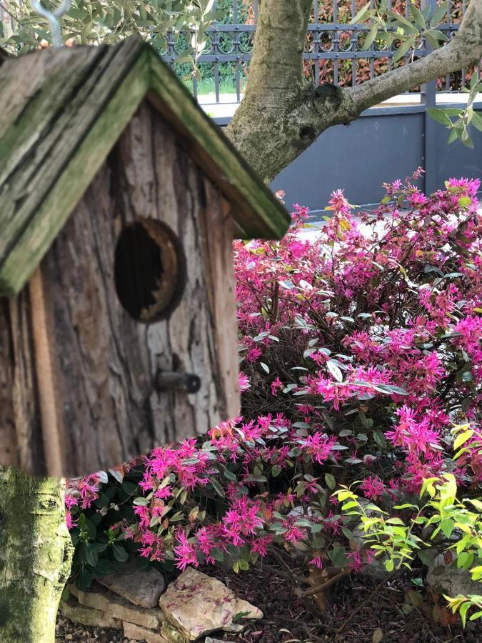 Residenza Airone Guest House วิเชนซา ภายนอก รูปภาพ
